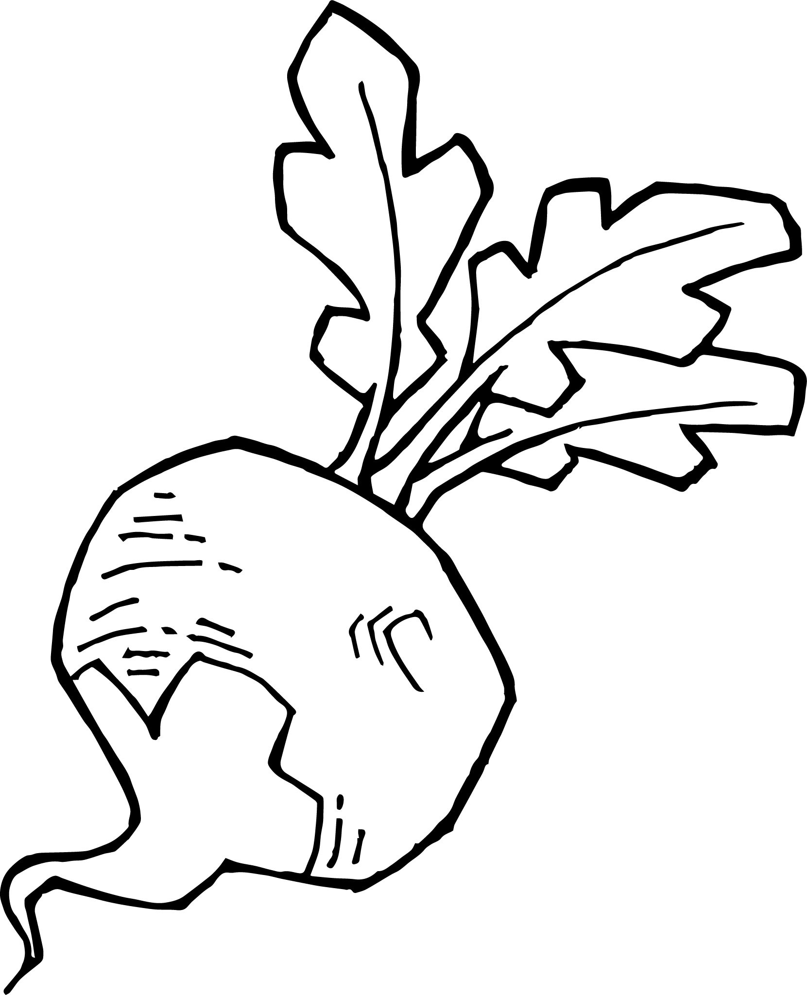 Chiddingly Village Shop & Café logo